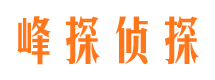 凌海市侦探调查公司